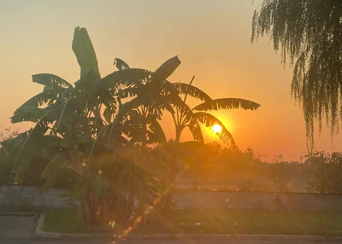 Jayro * ガリポリ